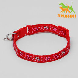 Ошейник двухслойный с фастексом Звездные косточки, 30 х 1 см, микс цветов