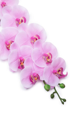 Веточка декоративная "Орхидея" 93 см (SF-8089) розовый