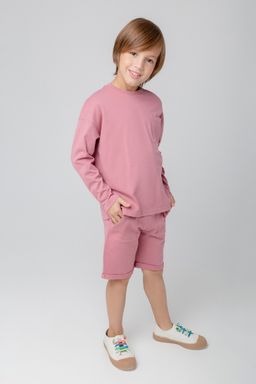 КР 400518/темная пудра к368, шорты