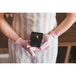 Цена за 100 шт. Горшок для рассады, 180 мл, 7×7×6.5 см, чёрный, Greengo