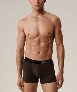 ATLANTIC 3MH-226 Трусы шорты Melange - набор 3 шт. темно-серый меланж + медно-багряный меланж + коричневый меланж фото 2