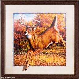 Картина 5D 40х40 005 Косуля /ZR8210H-222411/