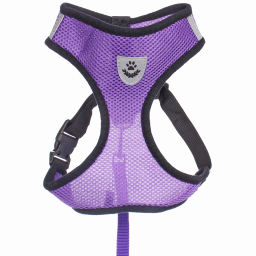 Цена за 2 шт. Шлейка с поводком 118см "Sweet puppy" размер ХL, цвет фиолетовый