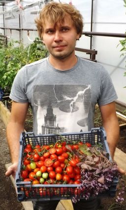 Томат МЕДОВЫЙ МИЛЛИОН Невероятно ранний черри сорт! Созревает целыми кистями! Уникальные вкусовые качества!