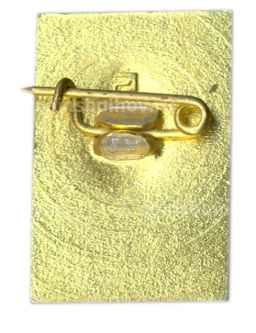 Значок Петродворец