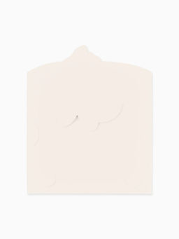 Цена за 5 шт. Конверт для денег формовой «Уточка», 17.5 × 8 см