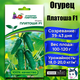3093P Огурец ПЛАТОША F1 5шт