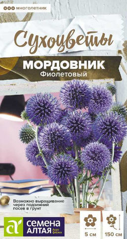 Цветы Мордовник Фиолетовый обыкновенный/Сем Алт/цп 0,2 гр. Сухоцвет