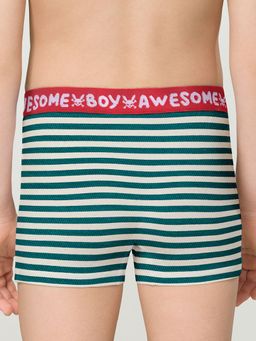 BUHB3307(2шт. в упаковке) трусы для мальчиков - Pelican фото 3