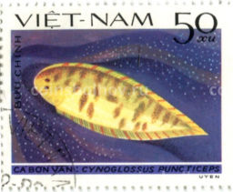 Марка Рыба Крапчатый язычок 1982 год Вьетнам