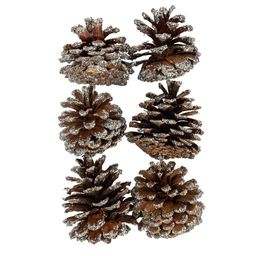 Blumentag CIF-02 Шишки сосновые 6 шт. 02 Сосна/ под серебро