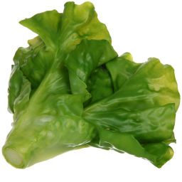 Муляж "Салат Латук" 17*15см