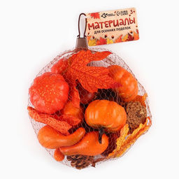 Материалы для творчества «Осенние поделки», в сетке