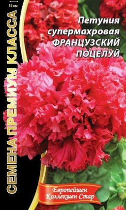 Петуния ФРАНЦУЗСКИЙ ПОЦЕЛУЙ супермахровая