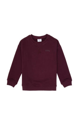 Erkek _ocuk Bordo Bisiklet Yaka Basic Sweatshirt