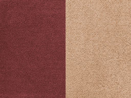 1с105.413ж1 Соты и пчелка (коралл3) Полотенце махровое 50х30 см - Текс-дизайн фото 240