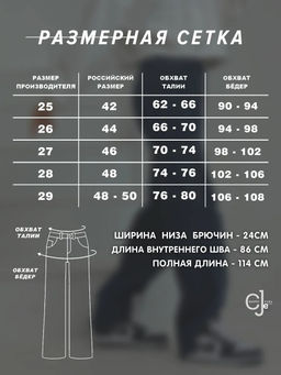 Женские прямые джинсы CRACPOT 1209