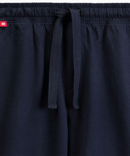 ATLANTIC NMP-396 Пижама мужская Wild серый меланж + темно-синий фото 5