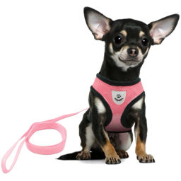 Цена за 2 шт. Шлейка с поводком 118см "Sweet puppy" размер S, цвет розовый