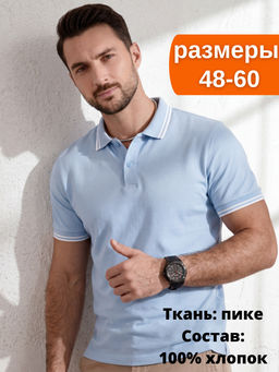 Футболка поло мужская 14455