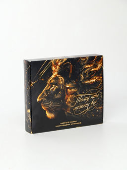 Чай подарочный Тому кто может всё, 20 г + 12 п