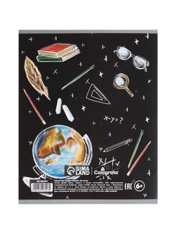 Тетрадь предметная Доска, 48 листов в клетку История, обложка мелованный картон, блок офсет - Calligrata фото 13