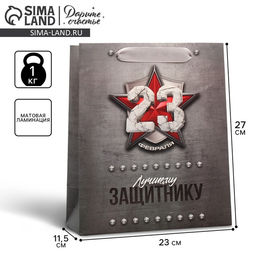 Цена за 2 шт. Пакет подарочный ламинированный, упаковка, «С 23 февраля», ML 23×27×11.5 см