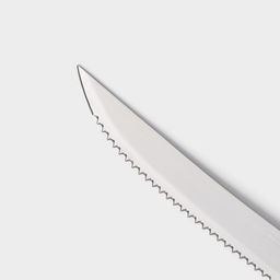 Нож кухонный для цитрусовых Доляна «Страйп», лезвие 11.5 см, синий