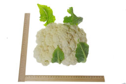 Капуста цветная Смилла - Партнер фото 4