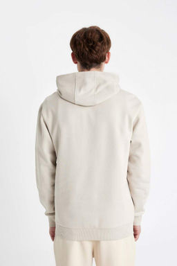 Толстовка обычного кроя с капюшоном и принтом - Defacto фото 6