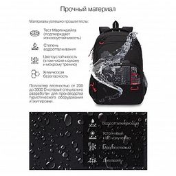 RU-130-4 Рюкзак - Grizzly фото 9