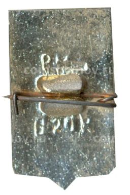 Значок Пошехонье