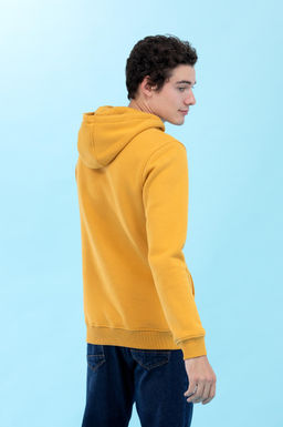 U. S. Polo Assn Базовый горчичный свитшот с капюшоном (унисекс) - U.s. polo assn фото 14