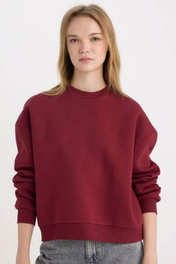 Regular Fit Bisiklet Yaka Kal?n Basic Duz Sweatshirt